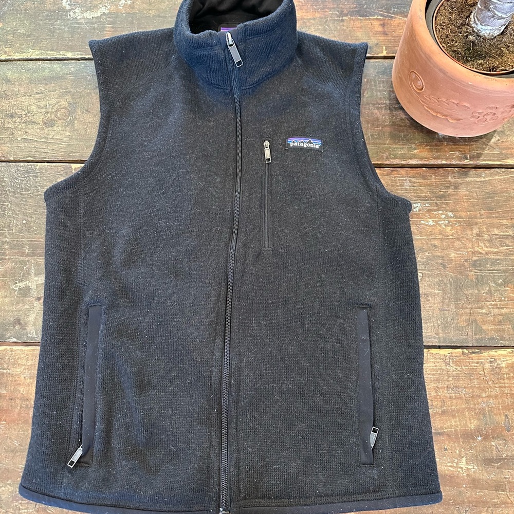 Patagonia women’s better sweater vest